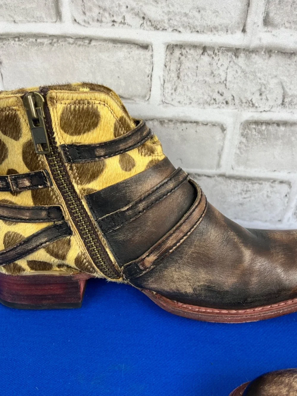 🦅|•FREEBIRD BY STEVEN•| 'Belfast' Animal Print Leather Booties Size 11-12